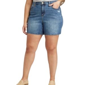 Plus Size Distressed Shorts 